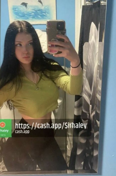 Haleyszklarz
