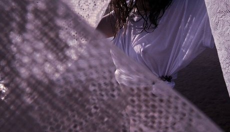 Jodie Calussi