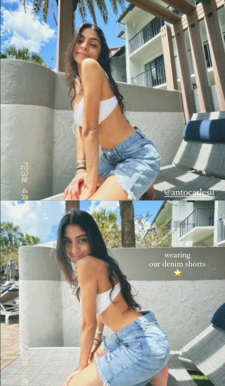 Antocarlesii