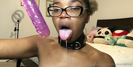 Thenovapandafree