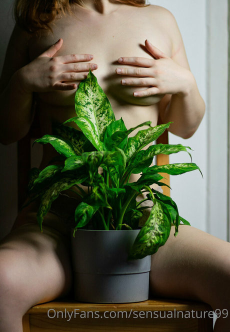 Nacktes geleaktes OnlyFans-Foto von Sensualnature99