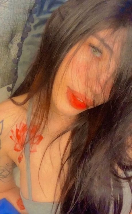 Katxrox