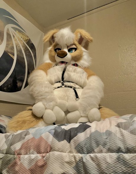 Murrsuit