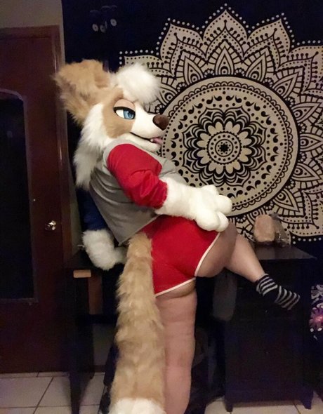 Murrsuit