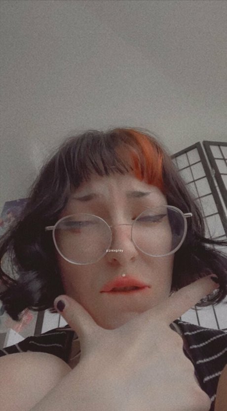 Pinexgrey
