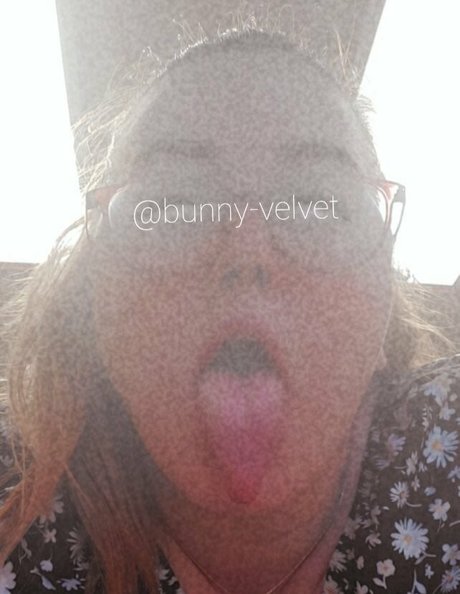 Bunnyvelvettvfree