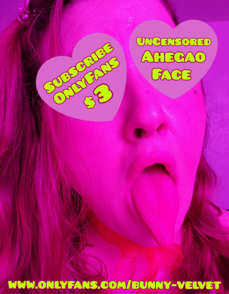 Bunnyvelvettvfree