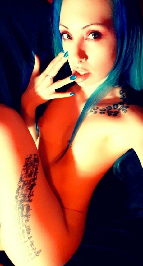 Vulgarkitty