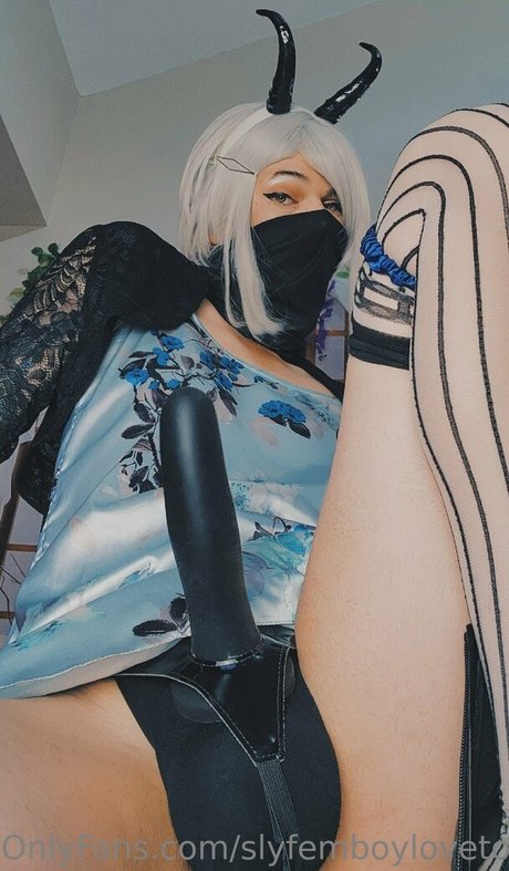 Slyfemboylovetoy