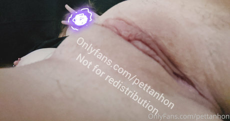 Pettanhon