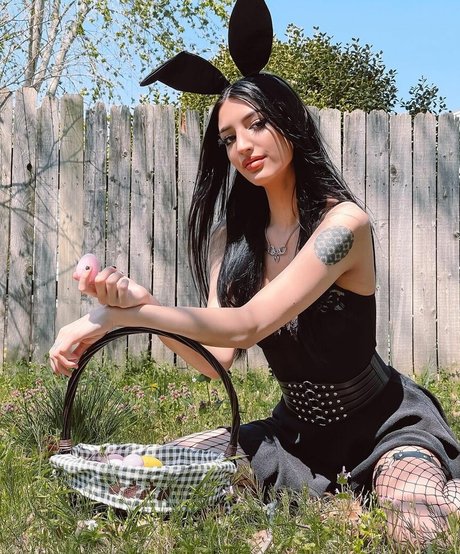 Alison Rainer