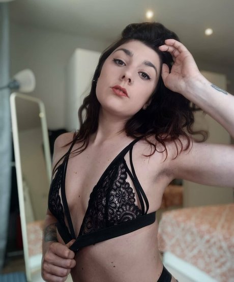 Laurettavixen