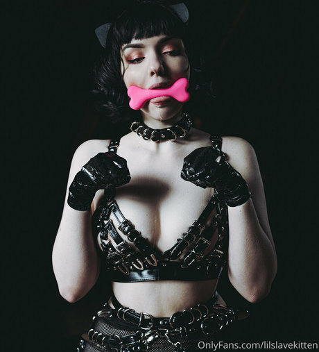 Lilslvkitten