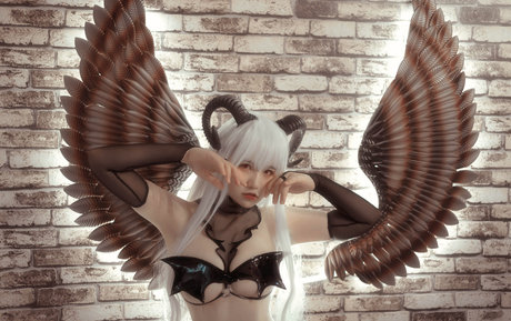 Qiyuemiaozi