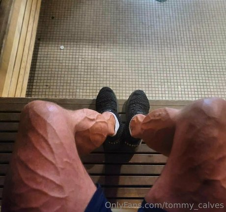 Tommycalves