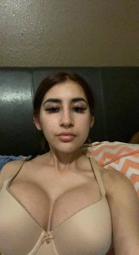 Asapcilla