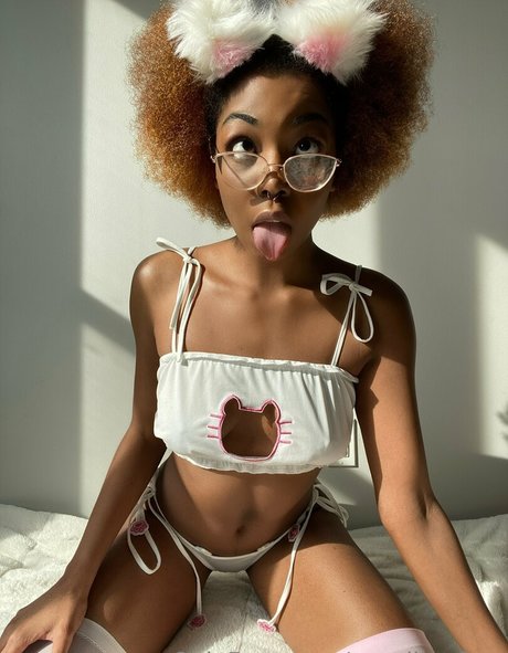 Cynslimxfree