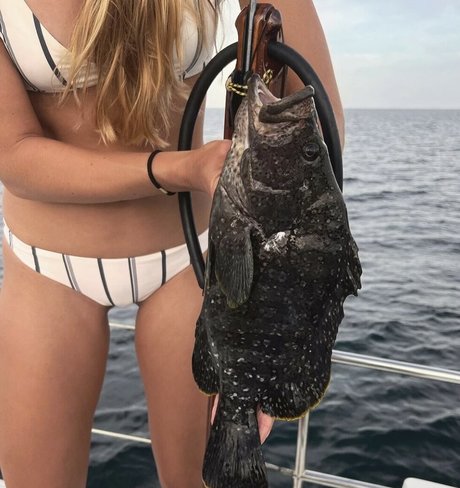 Nacktes geleaktes OnlyFans-Foto von Kelly Young