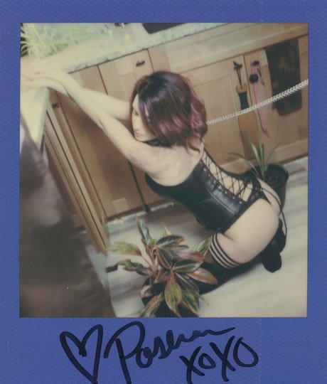 Nacktes geleaktes OnlyFans-Foto von Pashavixen