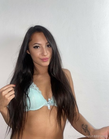 Mishelgomezmodel