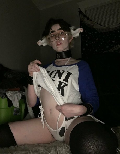 Catboibloosy