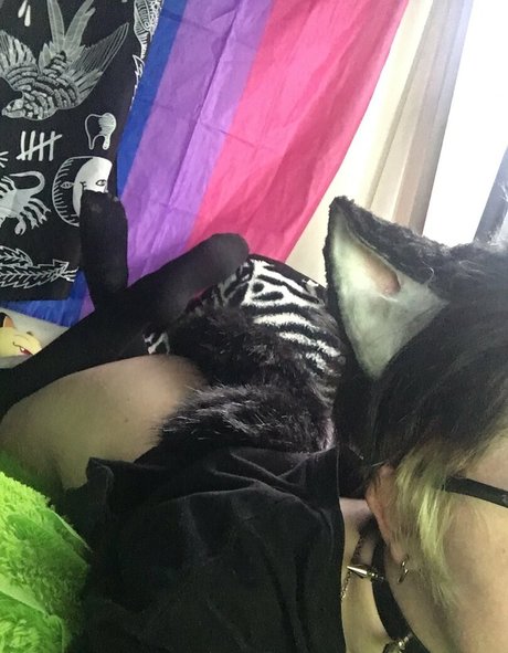 Catboibloosy