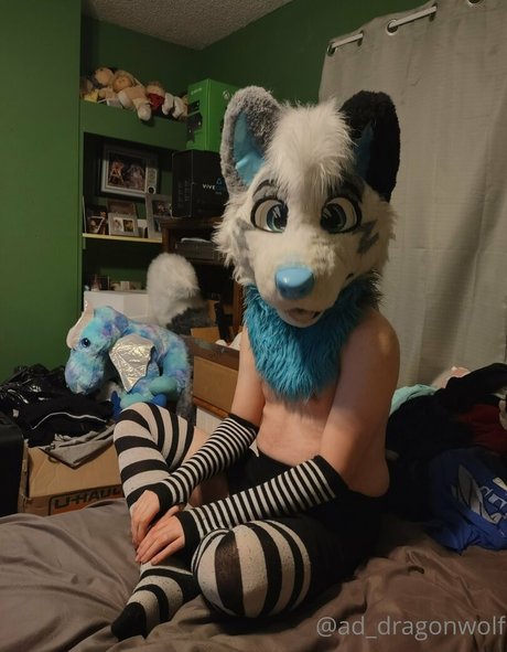 Addragonwolf