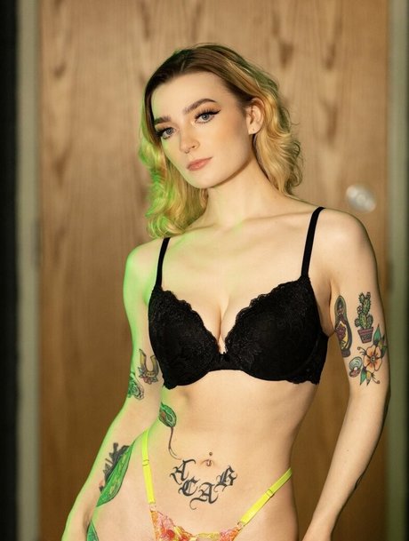 Lane Fox