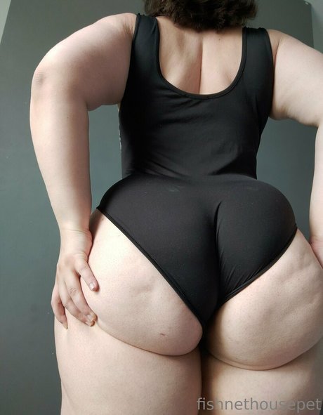 Fishnethousepet