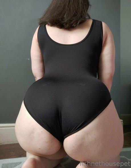 Fishnethousepet