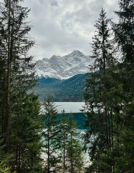 Alpswander