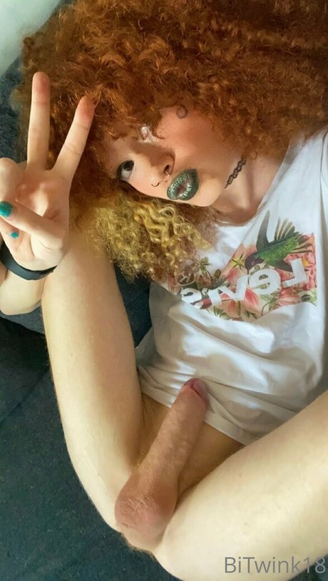 Bitwink18