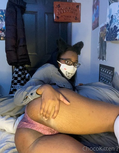 Chocobabiekitten