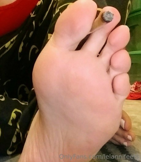 Lelannifeets