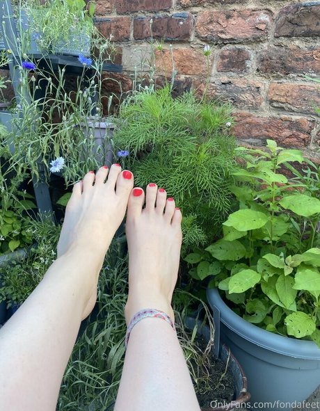 Fondafeet