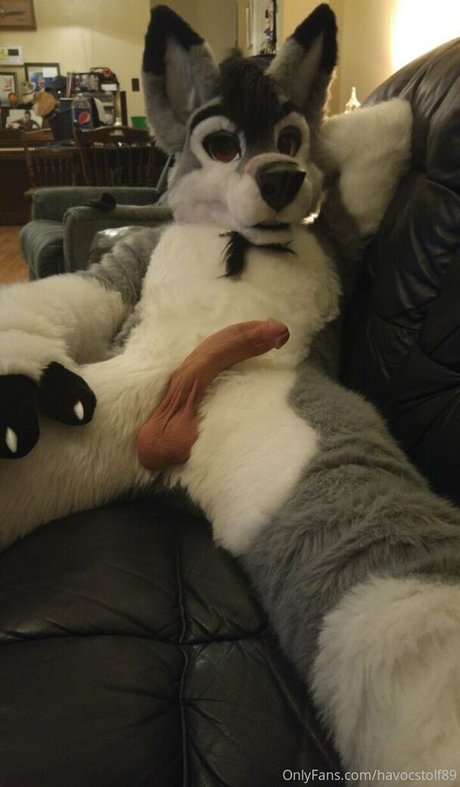 Stallionwolf