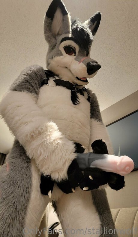 Stallionwolf