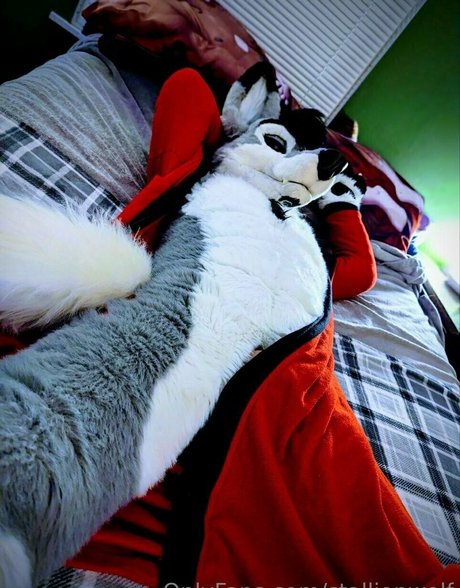 Stallionwolf