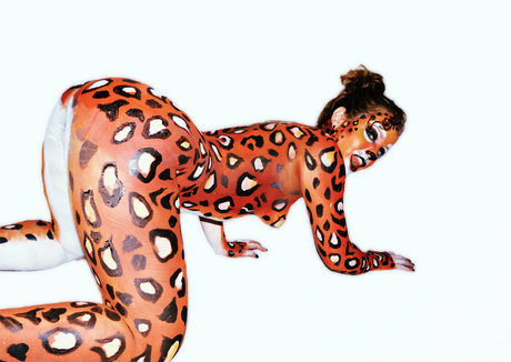 Lilysvibe