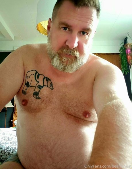 Bearinheat