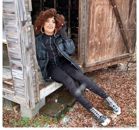 Darirose