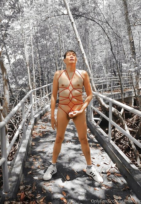Nacktes geleaktes OnlyFans-Foto von Yumekung