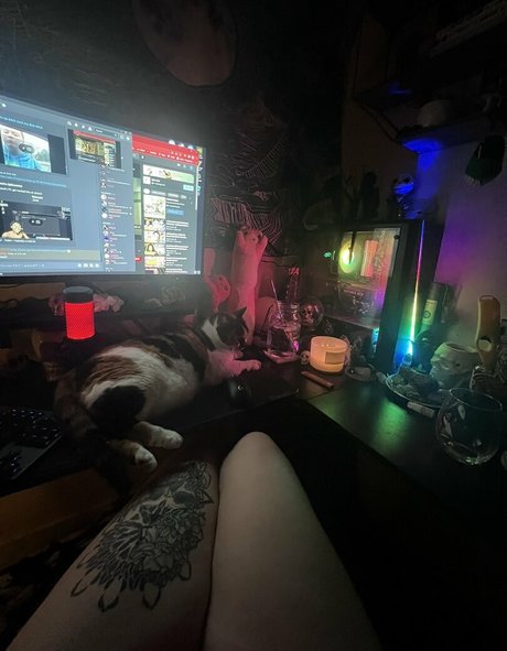 Kitty Titty