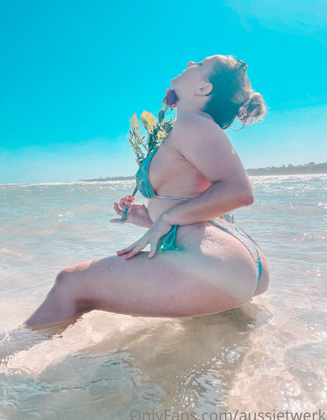 Aussietwerk